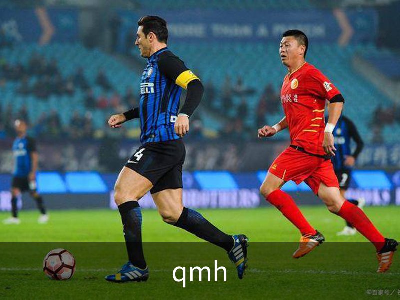 qmh简介